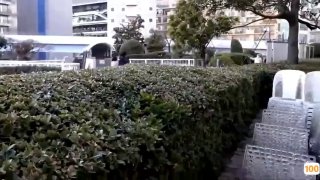 华侨村一区⭕❌❌⭕久久久久国产成人精品亚洲午夜,成人免费毛片一区二区三区,国产成人久久精品激情91,国产成人无码精品久久久免费